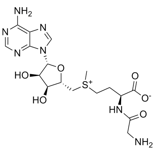 Picture of Adenosine Related Compound 1