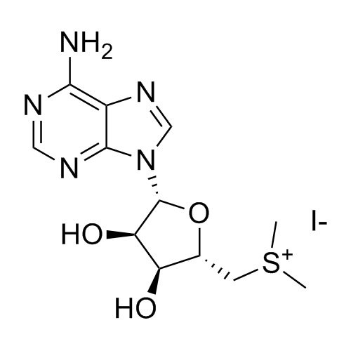 Picture of Adenosine Related Compound 2