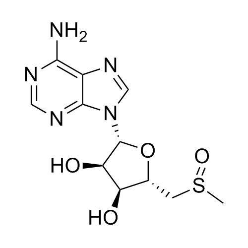 Picture of Adenosine Related Compound 3