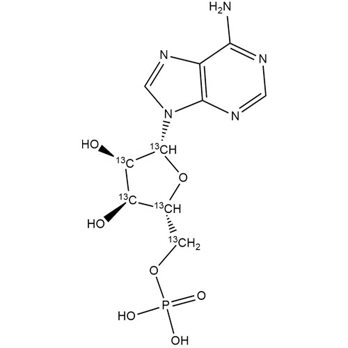 Picture of Adenosine Monophosphate-13C5