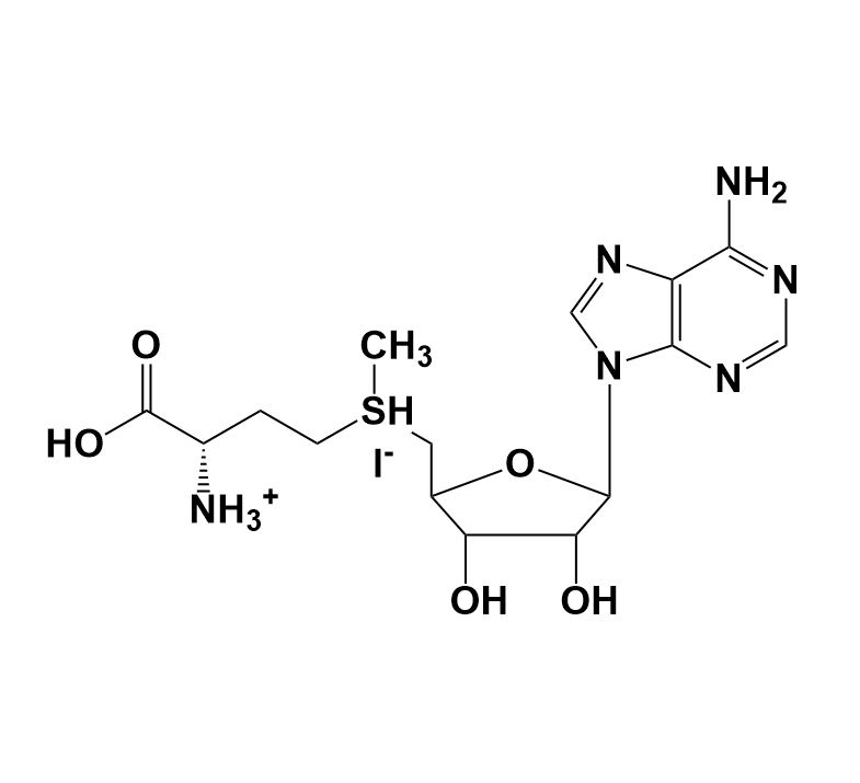 Picture of S-(5′-Adenosyl) -L-methionine