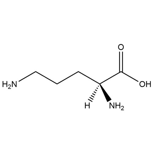 Picture of Arginine EP Impurity C