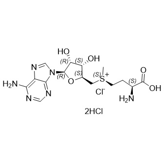 Show details for (S,S)-Adenosyl-L-Methionine chloride dihydrochloride (>75%) Picture of (S,S)-Adenosyl-L-Methionine chloride dihydrochloride (>75%)