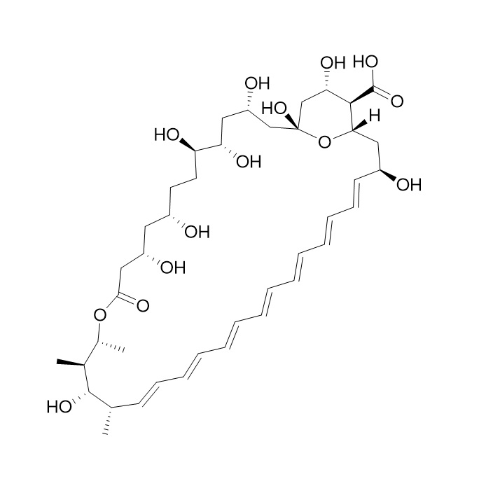 Picture of Amphoteronolide B