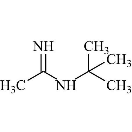 Picture of N-tert-Butylacetamidine