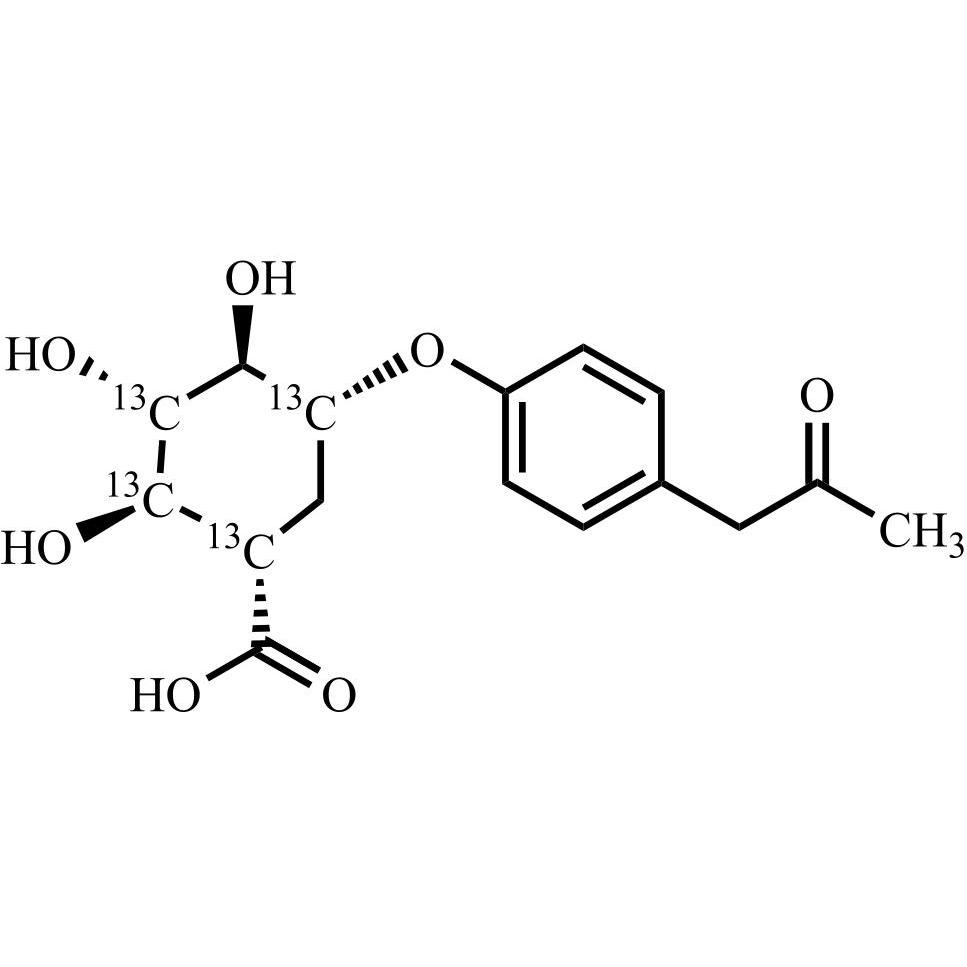Picture of Acetamidophen glucuronide-13C6