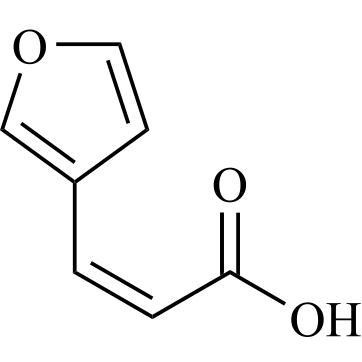 Show details for cis-3-Furanacrylic Acid Picture of cis-3-Furanacrylic Acid