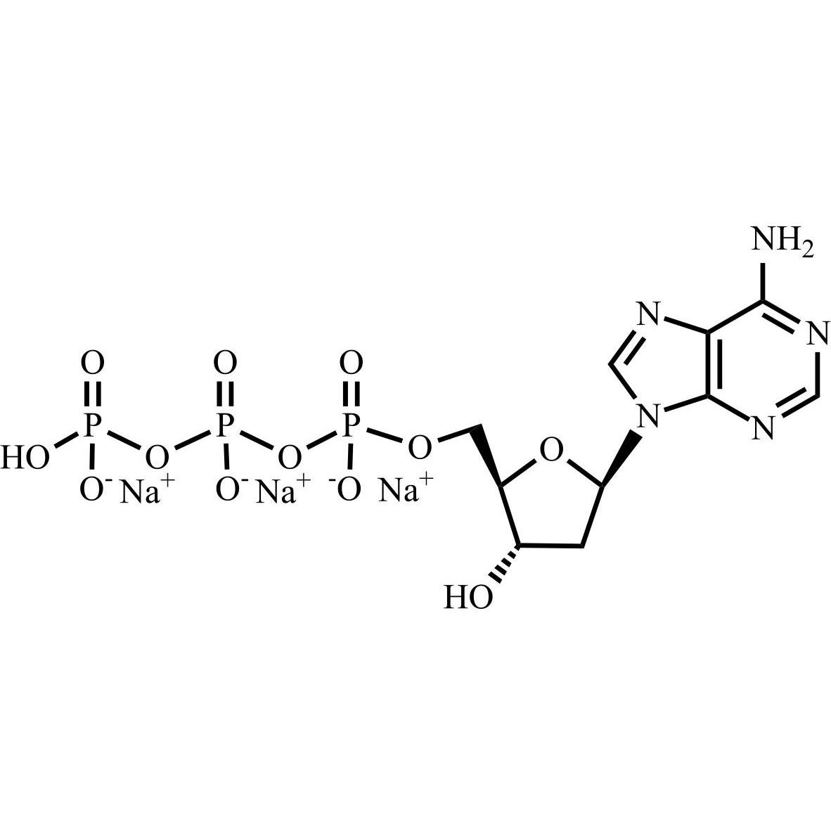 Picture of 2â€™-Deoxyadenosine-5â€™-triphosphate Trisodium Salt