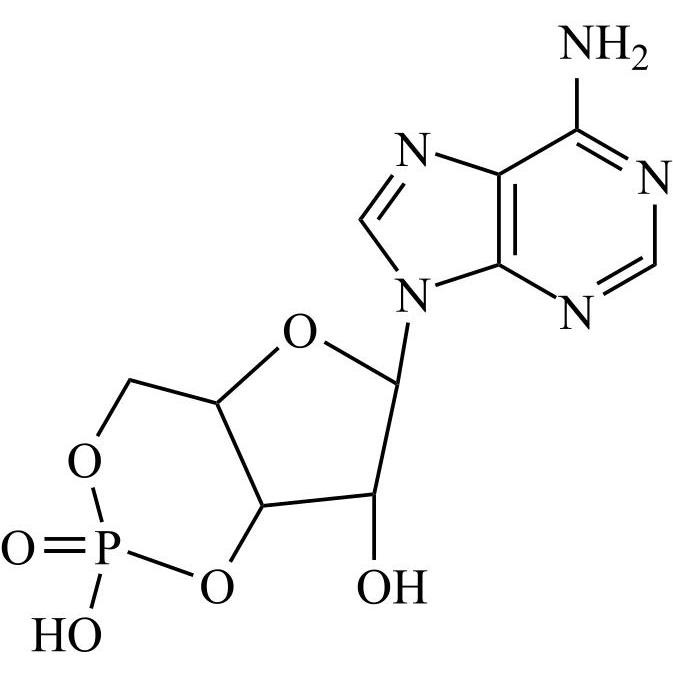 Picture of Adenosine-3',5'-cyclic Monophosphate