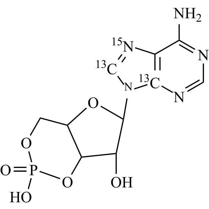 Picture of Adenosine-3',5'-cyclic Monophosphate-13C2-15N