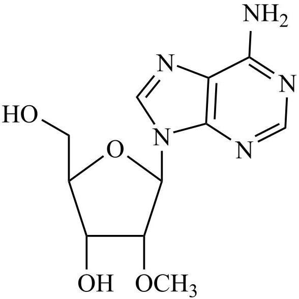 Picture of 2'-O-Methyladenosine