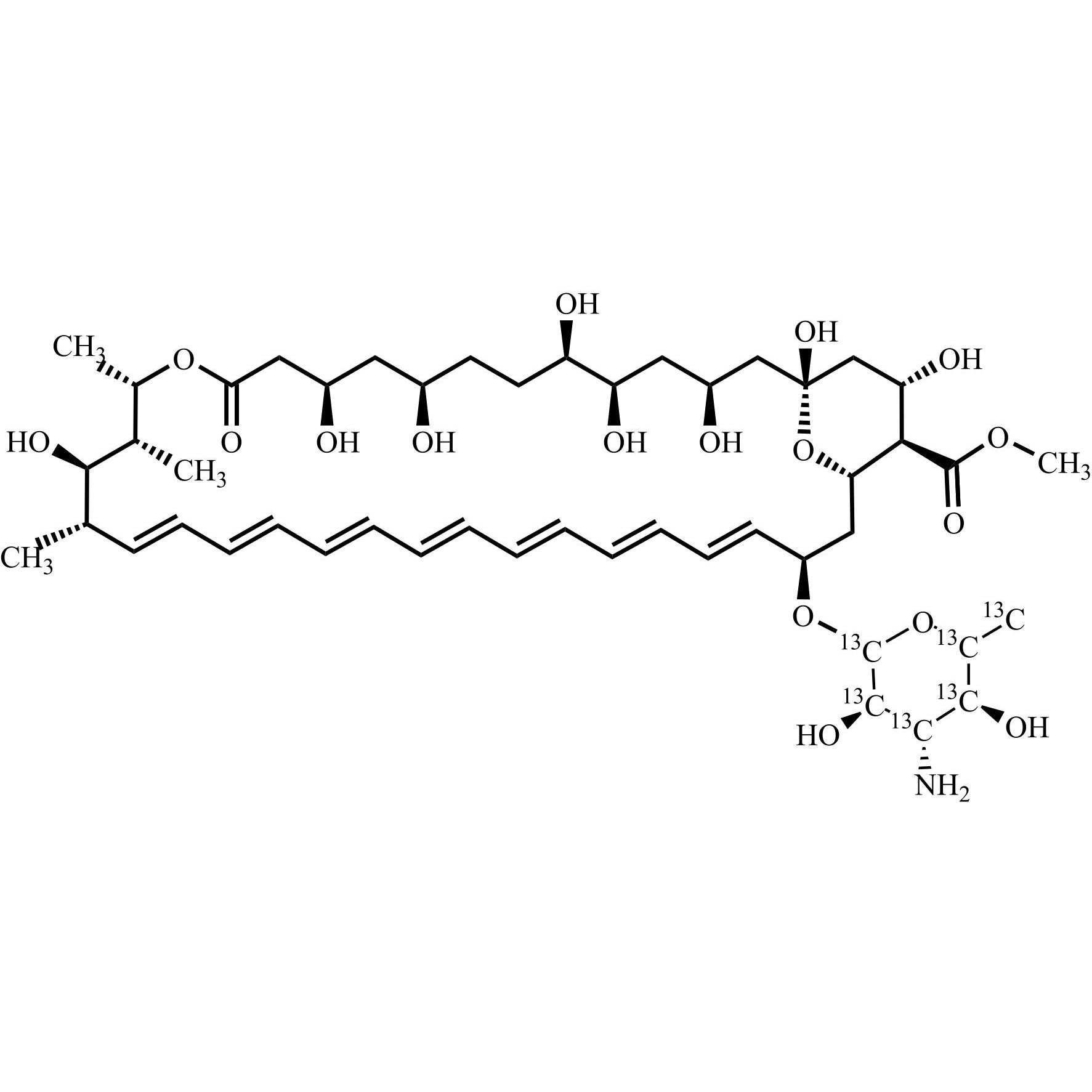 Picture of Amphotericin B-13C6 Methyl Ester