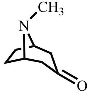 Picture of Tropinone