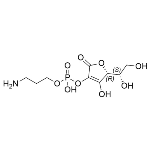Picture of Aminopropyl Ascorbyl Phosphate