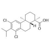 Picture of 12,14-Dichlorodehydroabietic Acid