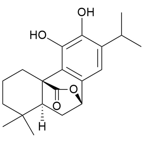 Picture of Carnosol