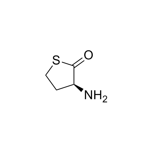 Picture of L-Homocysteine Thiolactone