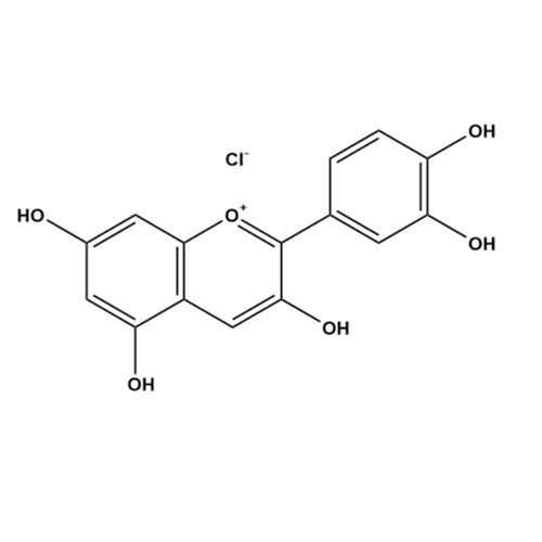 Show details for Cyanidin Chloride Picture of Cyanidin Chloride