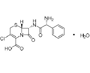 Picture of Cefaclor Monohydrate