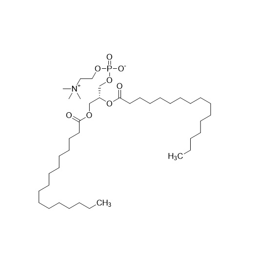 Picture of DPPC (Dipalmitoylphosphatidylcholine)