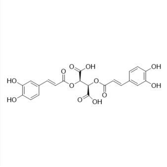 Picture of Chicoric Acid