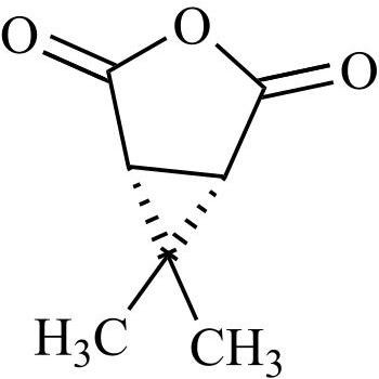Picture of Caronic Anhydride