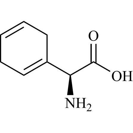 Picture of ent-Cefradine EP Impurity B