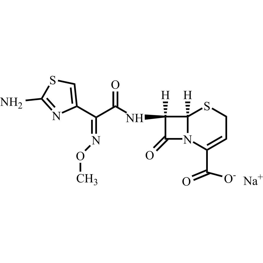Picture of E-Ceftizoxime Sodium Salt