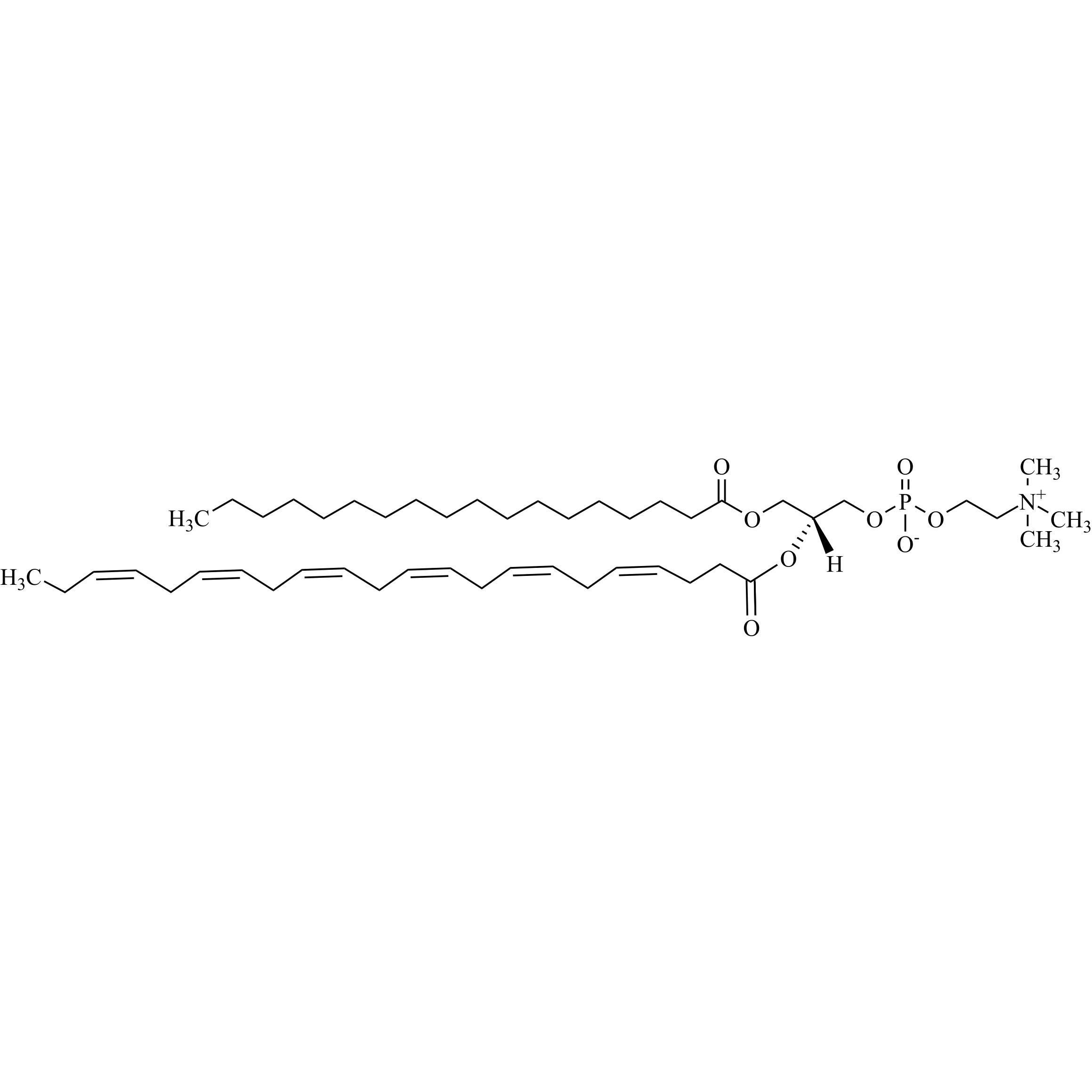 Show details for SDPC (1-Stearoyl-2-Docosahexaenoyl-sn-Glycero-3-Phosphocholine) Picture of SDPC (1-Stearoyl-2-Docosahexaenoyl-sn-Glycero-3-Phosphocholine)