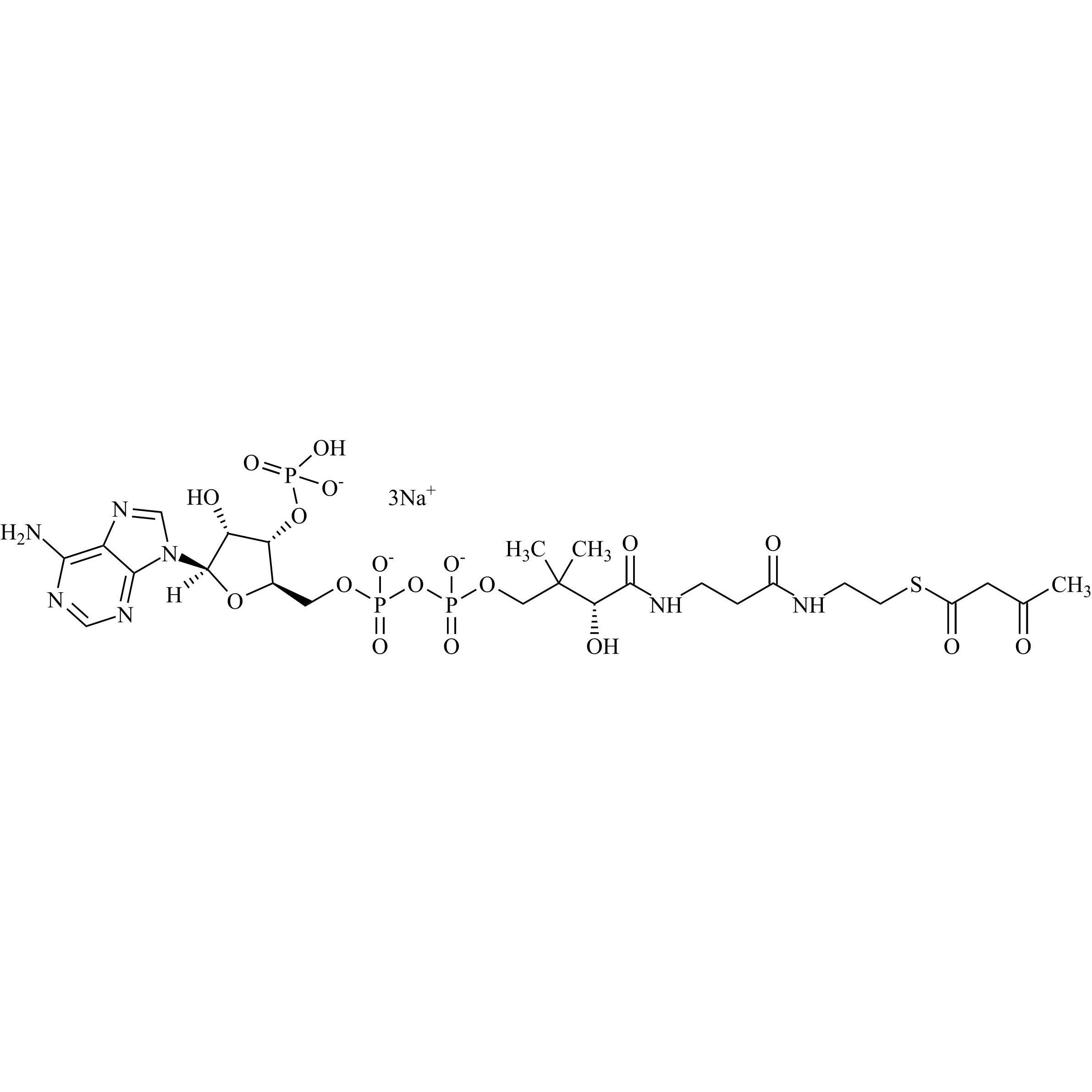 Picture of Acetoacetyl Coenzyme A Sodium Salt