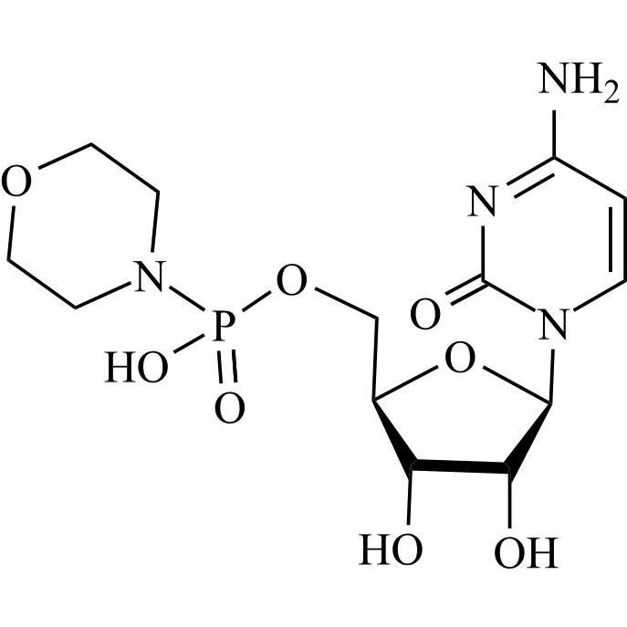 Picture of Cytidine 5'-Monophosphomorpholidate
