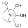 Picture of Calystegine B4