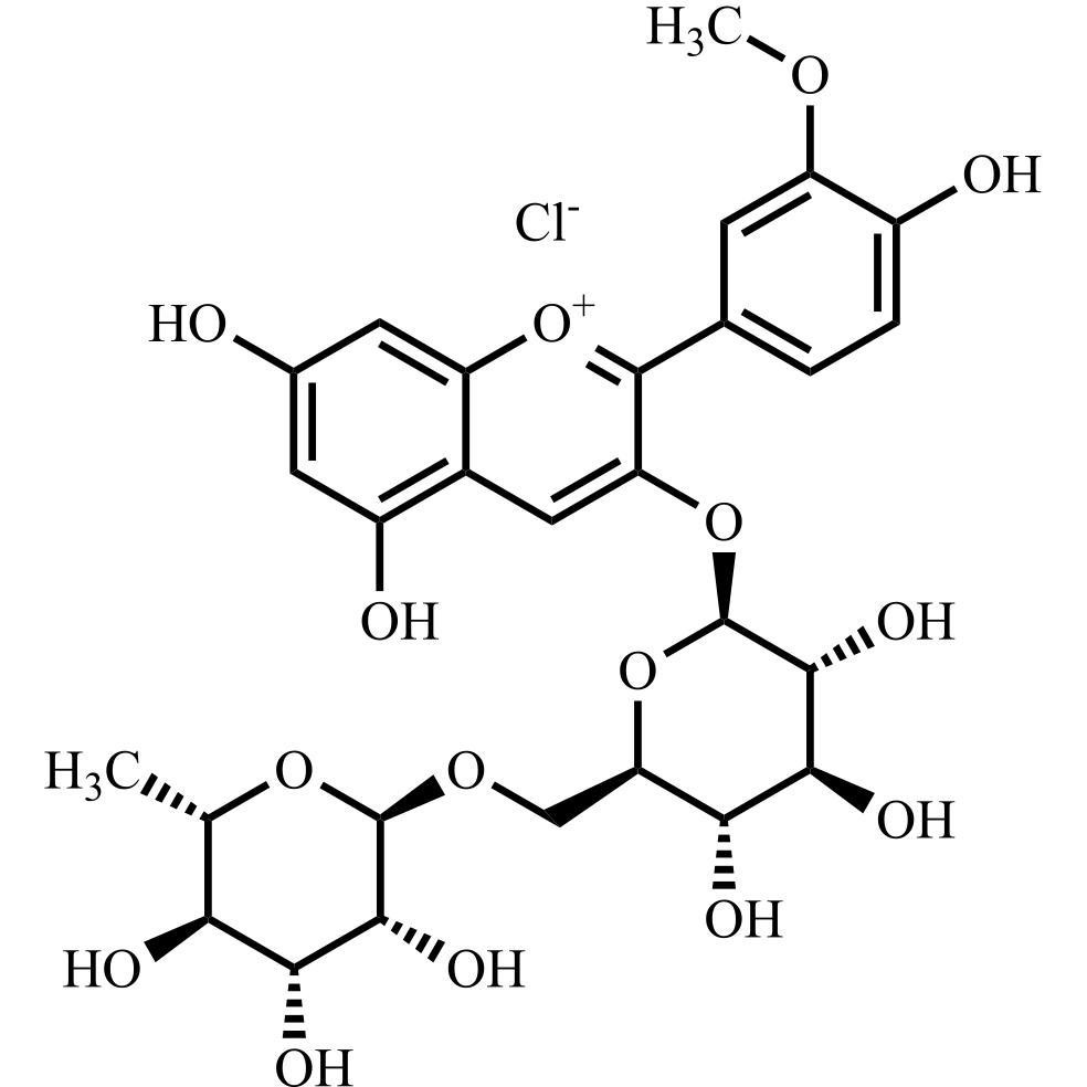 Show details for Delphinidin 3-O-Rutinoside Chloride Picture of Delphinidin 3-O-Rutinoside Chloride