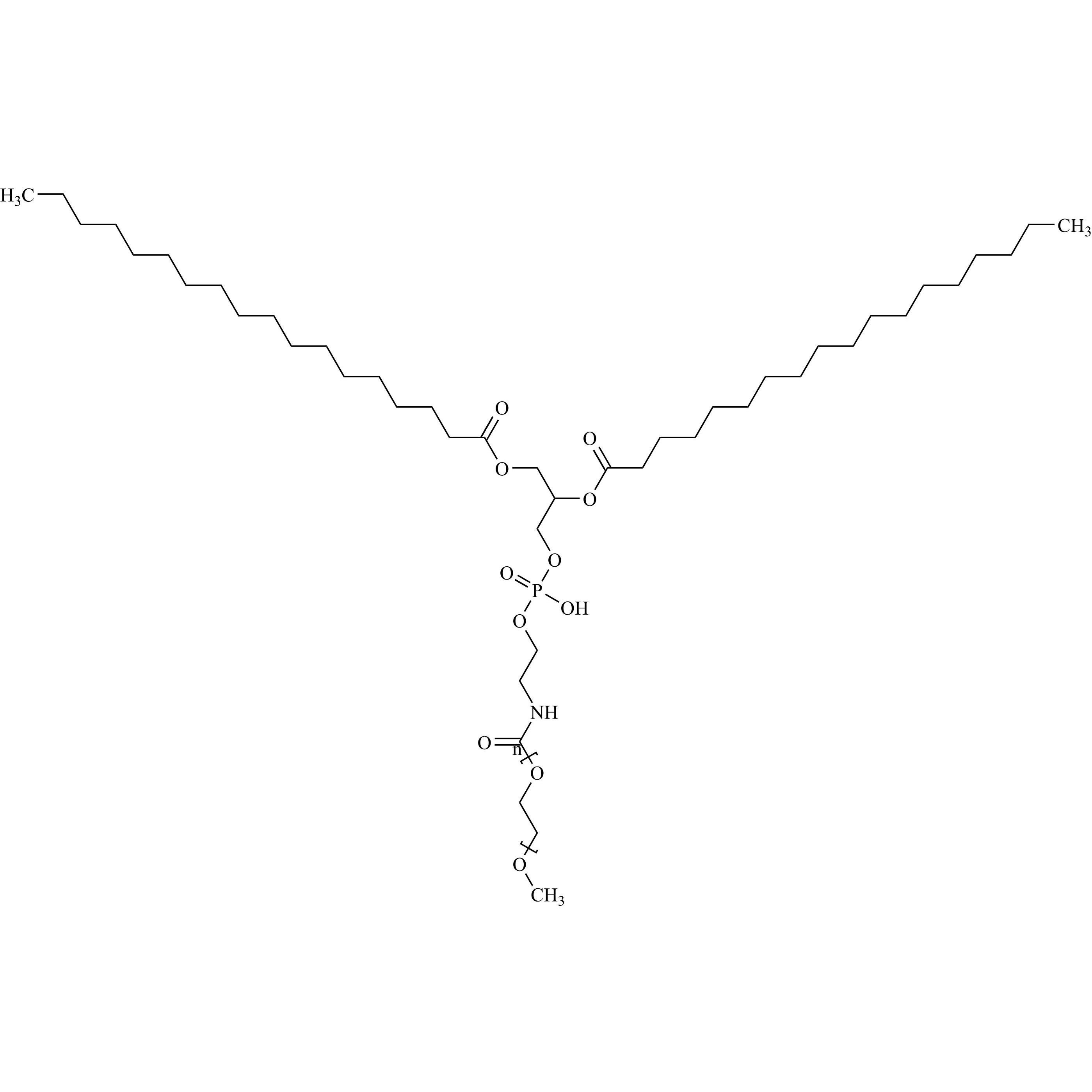 Picture of MPEG-2000-DSPE