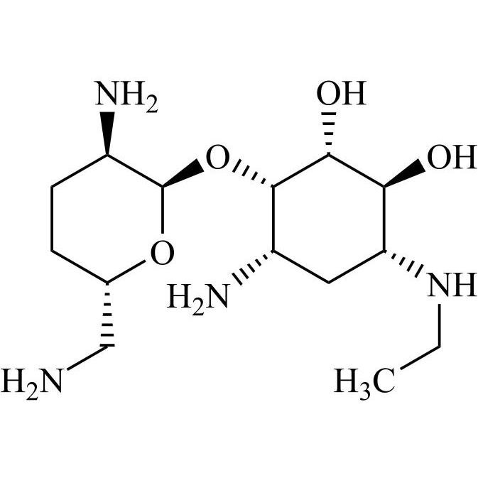 Show details for Etimicin Impurity 1 Picture of Etimicin Impurity 1