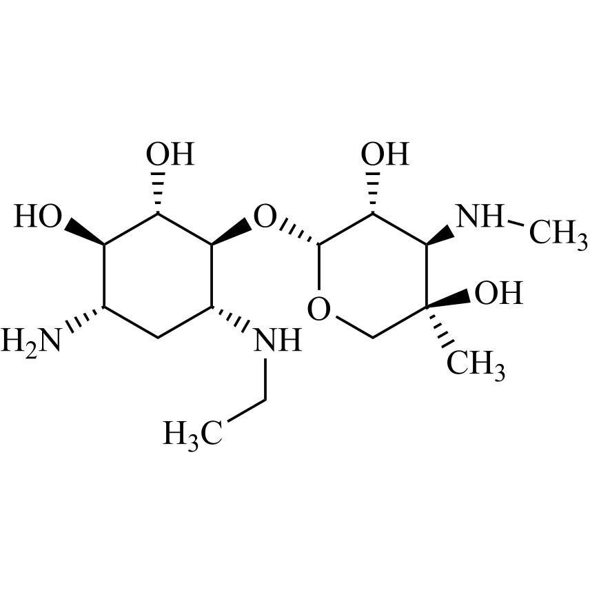 Picture of Netilmicin EP Impurity B