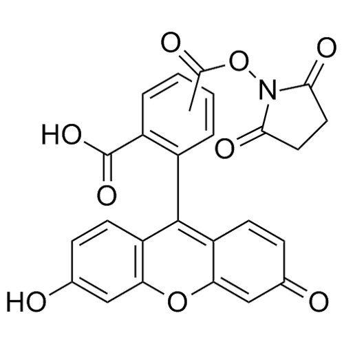 Show details for 5(6)-Carboxyfluorescein N-Hydrosuccinimide ester Picture of 5(6)-Carboxyfluorescein N-Hydrosuccinimide ester
