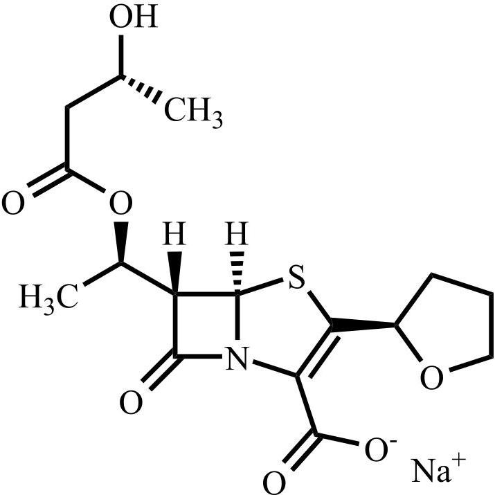 Picture of Faropenem Impurity 9 Sodium Salt