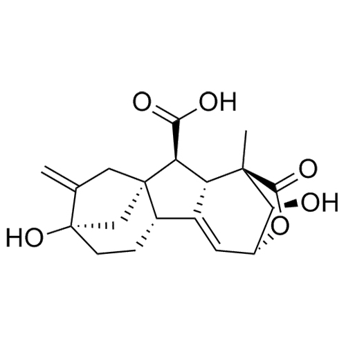 Picture of Gibberellic Acid 3-Isolactone