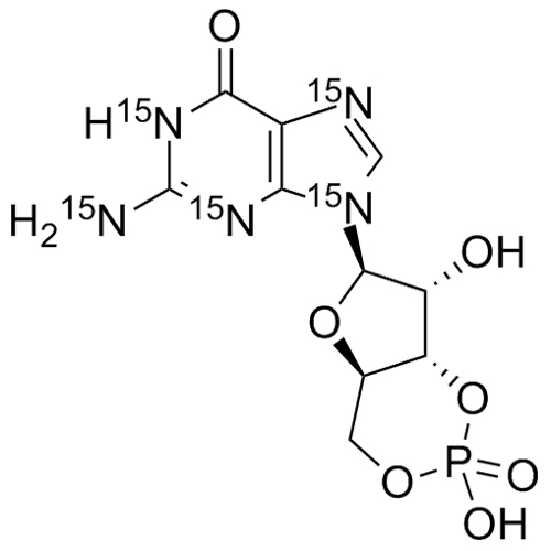 Show details for Guanosine 3,5-cyclic monophosphate-15N5 Picture of Guanosine 3,5-cyclic monophosphate-15N5