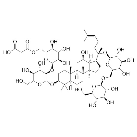 Picture of Malonylginsenoside Rb1