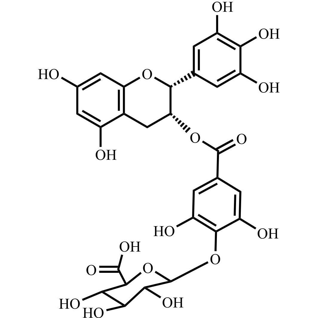 Picture of (-)-Epigallocatechin Gallate-beta-D- Glucuronide A