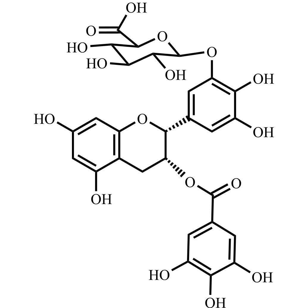 Picture of (-)-Epigallocatechin Gallate-beta-D- Glucuronide B