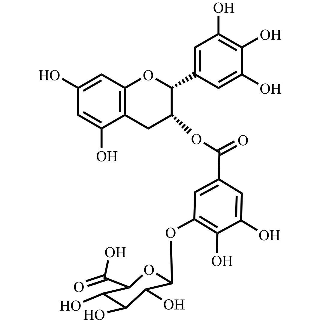 Picture of (-)-Epigallocatechin Gallate-beta-D- Glucuronide C