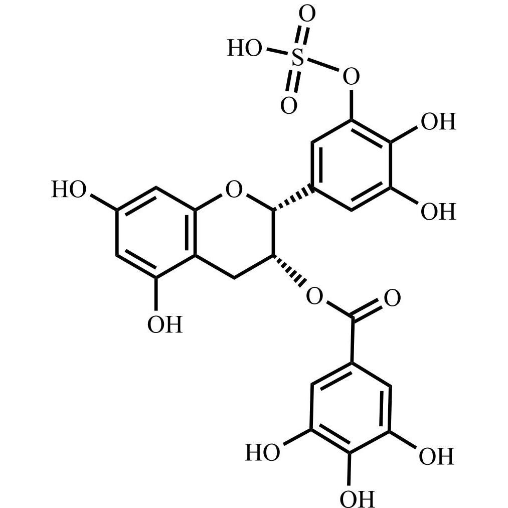 Picture of (-)-Epigallocatechin Gallate Sulfate C
