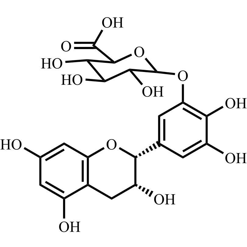 Picture of (-)-Epigallocatechin-beta-D-Glucuronide A