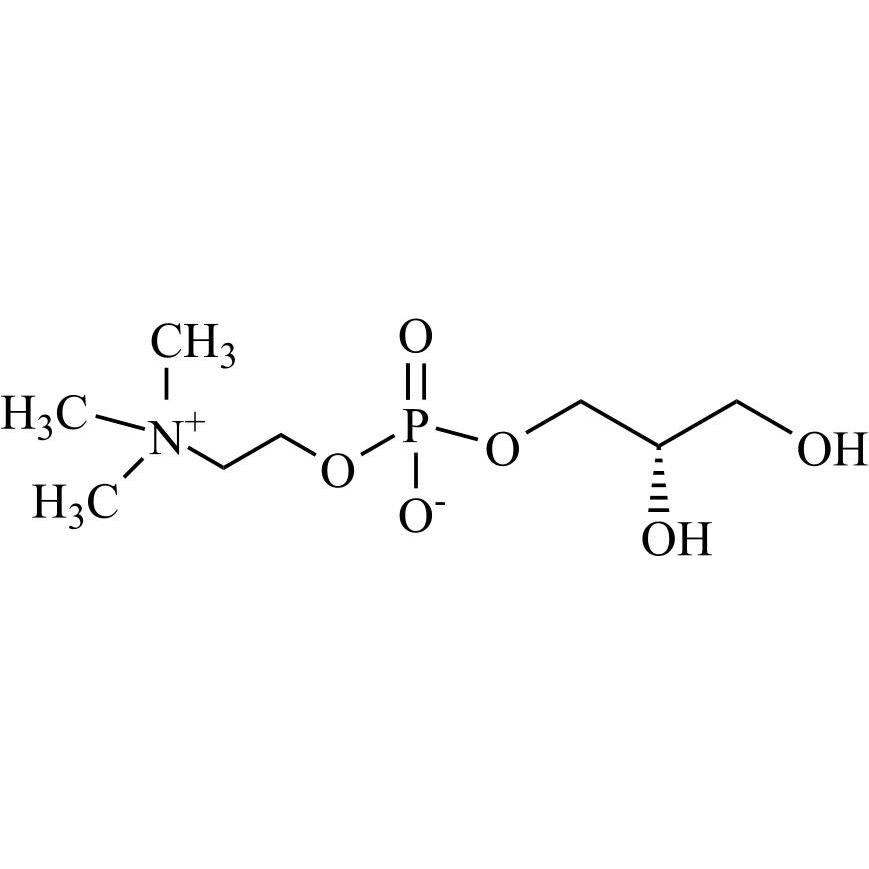 Picture of (S)-alpha-Glycerophosphorylcholine