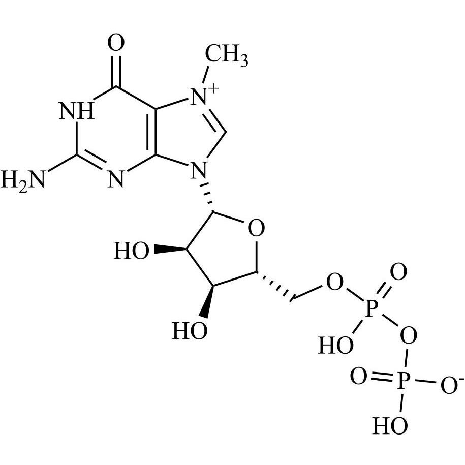 Show details for Guanosine Impurity 3 Picture of Guanosine Impurity 3