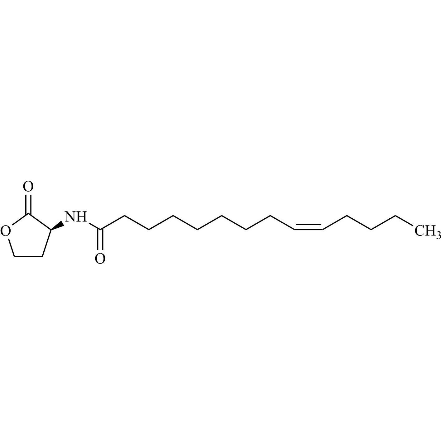 Picture of N-cis-Tetradec-9Z-Enoyl-L-Homoserine Lactone