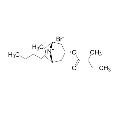 Picture of Hyoscine butylbromide 2-methyl butyrade Impurity (Mixture of Diastereomers)